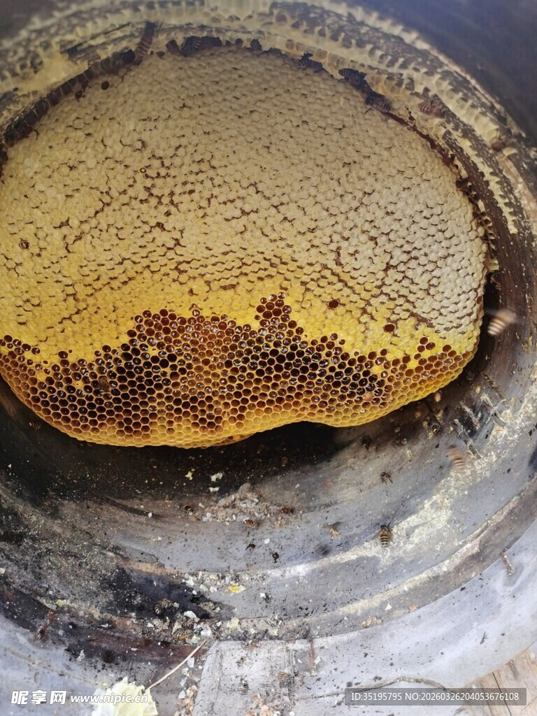 脏污锅底的油污特写