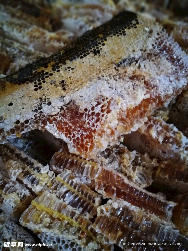 多彩纹理的陈旧木质碎片