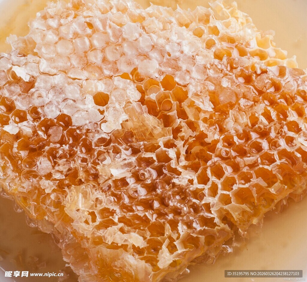 蜂巢特写金黄诱人蜂蜜
