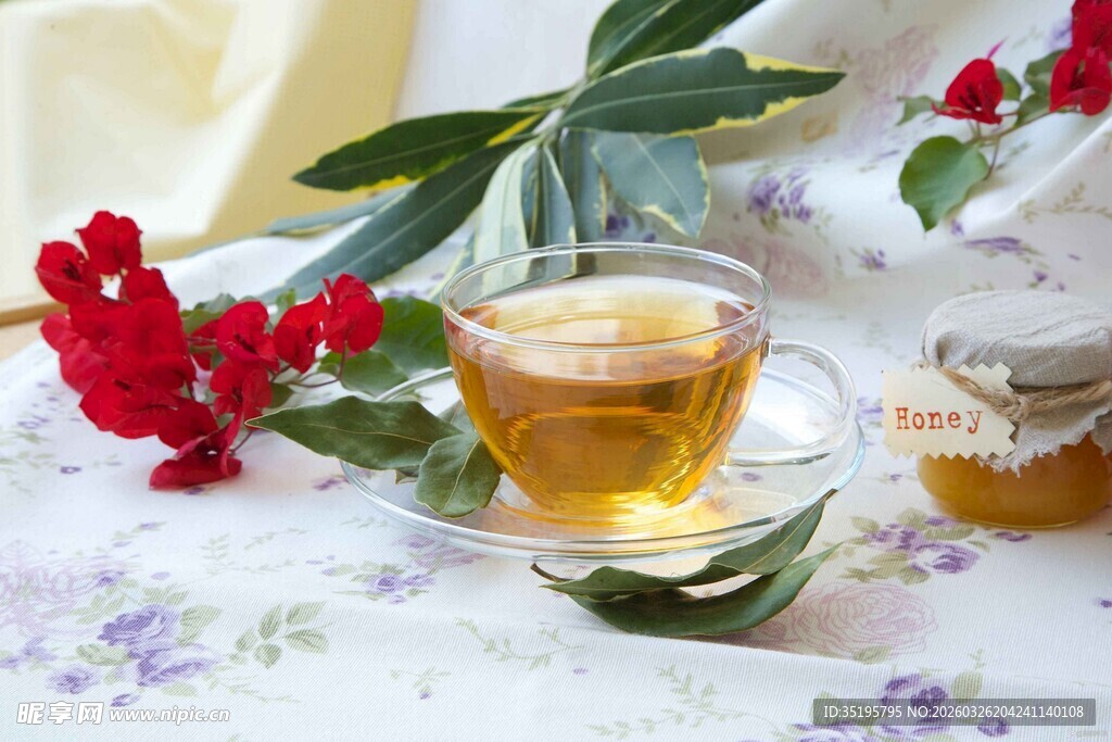 一杯花茶邂逅自然与宁静