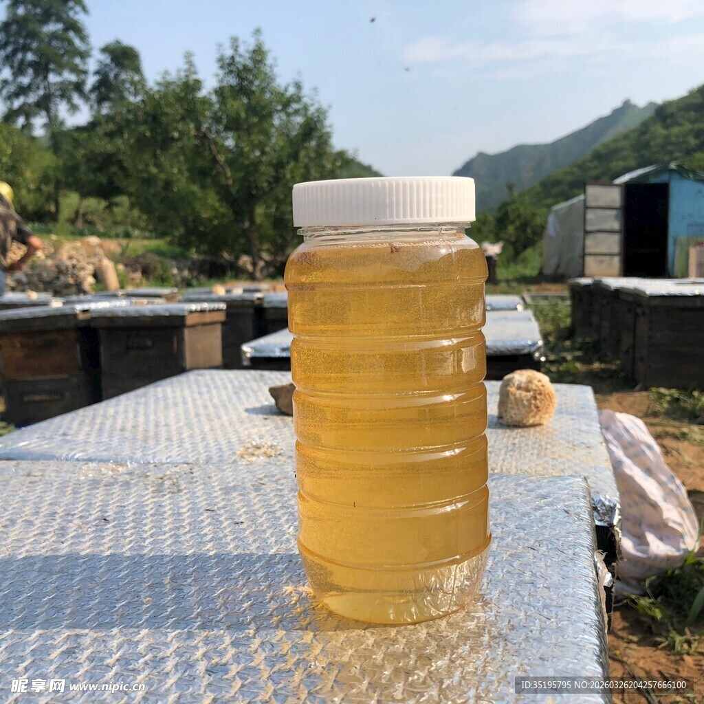 天然蜂蜜摆于户外蜂巢旁