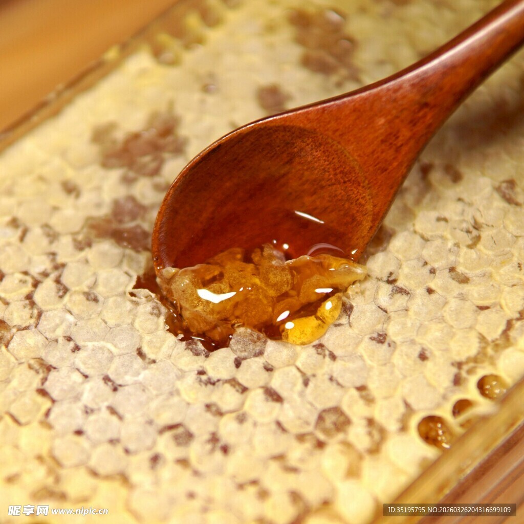 木勺舀取蜂巢中的蜂蜜