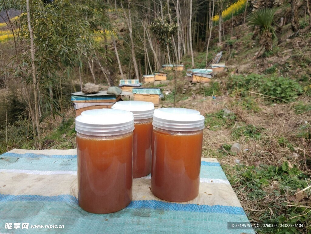 户外木桌上的蜂蜜罐