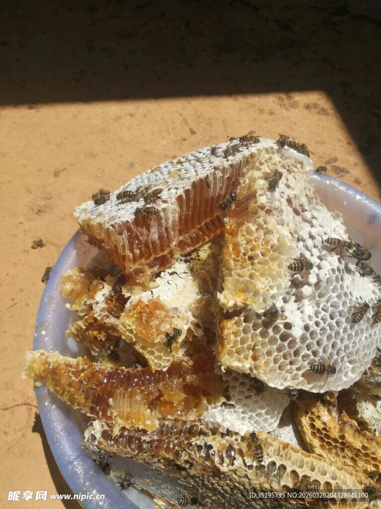 天然蜂巢蜜甜蜜诱人