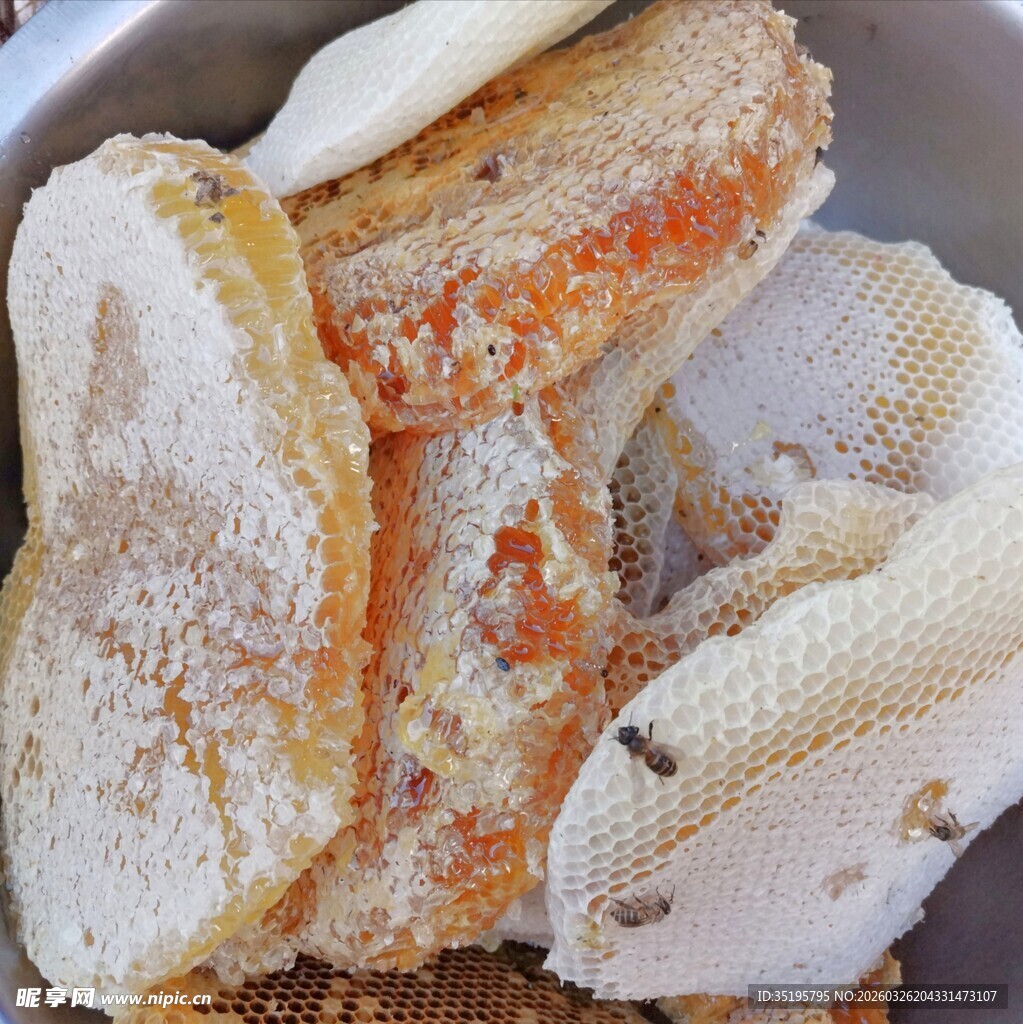 美味多样的烘焙面包切片