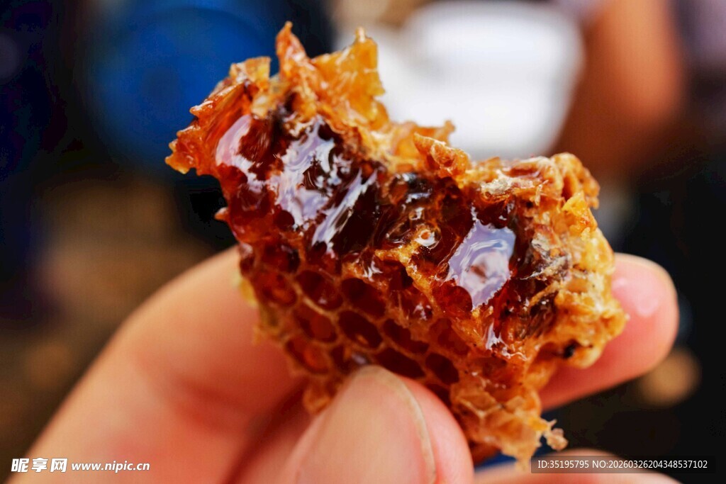 美味手撕猪肉干