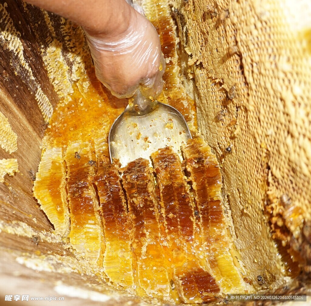 手工舀取蜂蜜场景