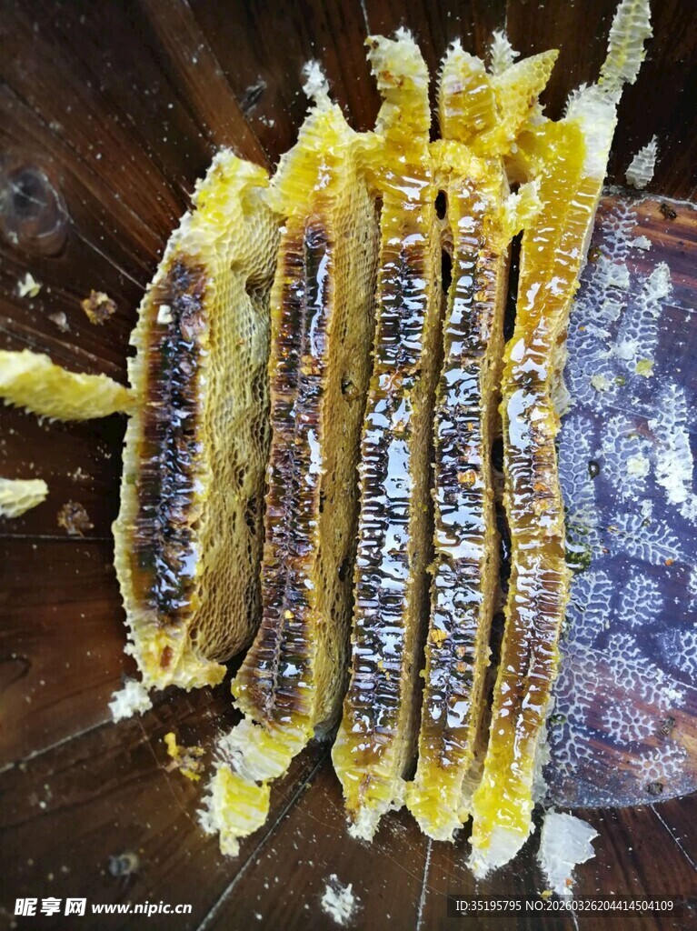 蜂巢切面展示饱满蜂蜡
