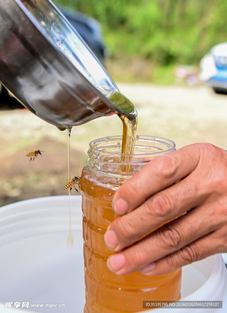 手工罐装蜂蜜的温馨瞬间