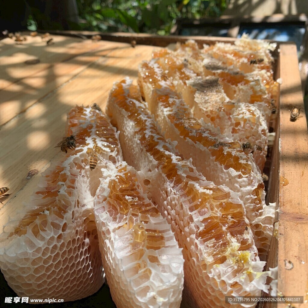 天然蜂巢蜜甜蜜诱人呈现