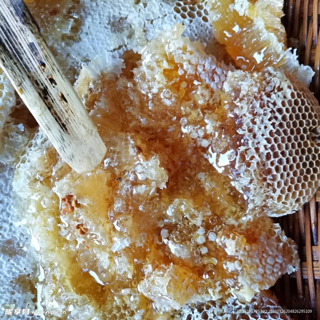 蜂巢中的蜂蜜流淌瞬间