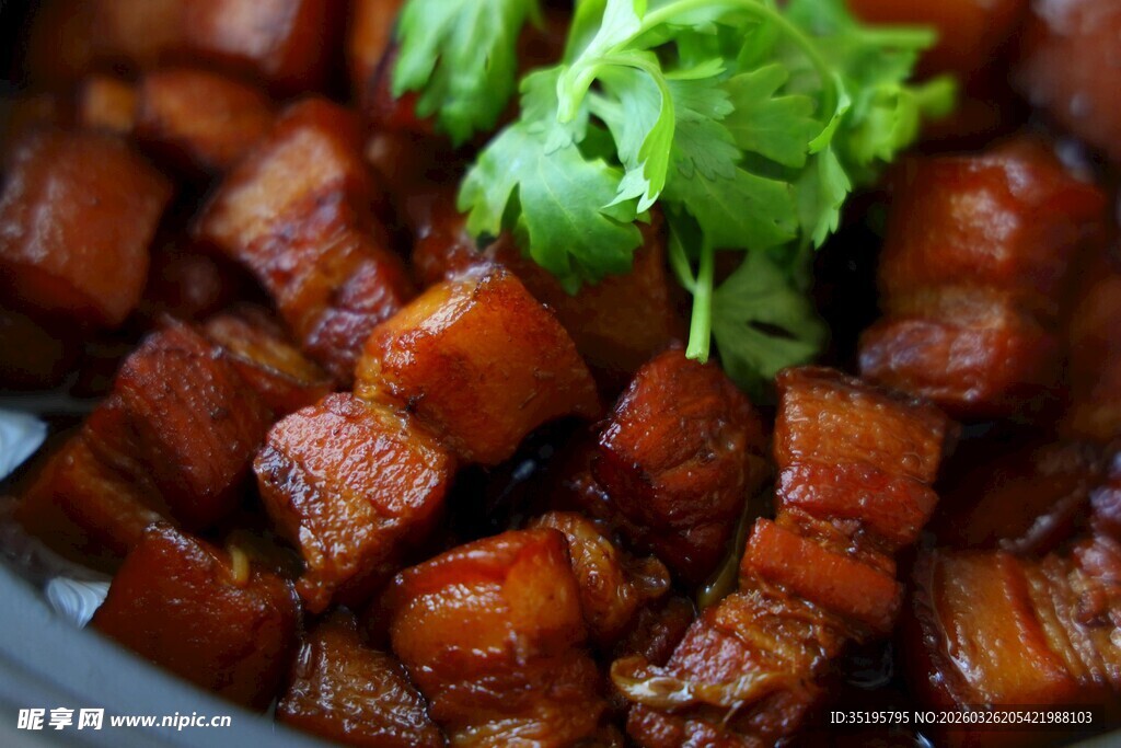 美味红烧肉点缀翠绿香菜