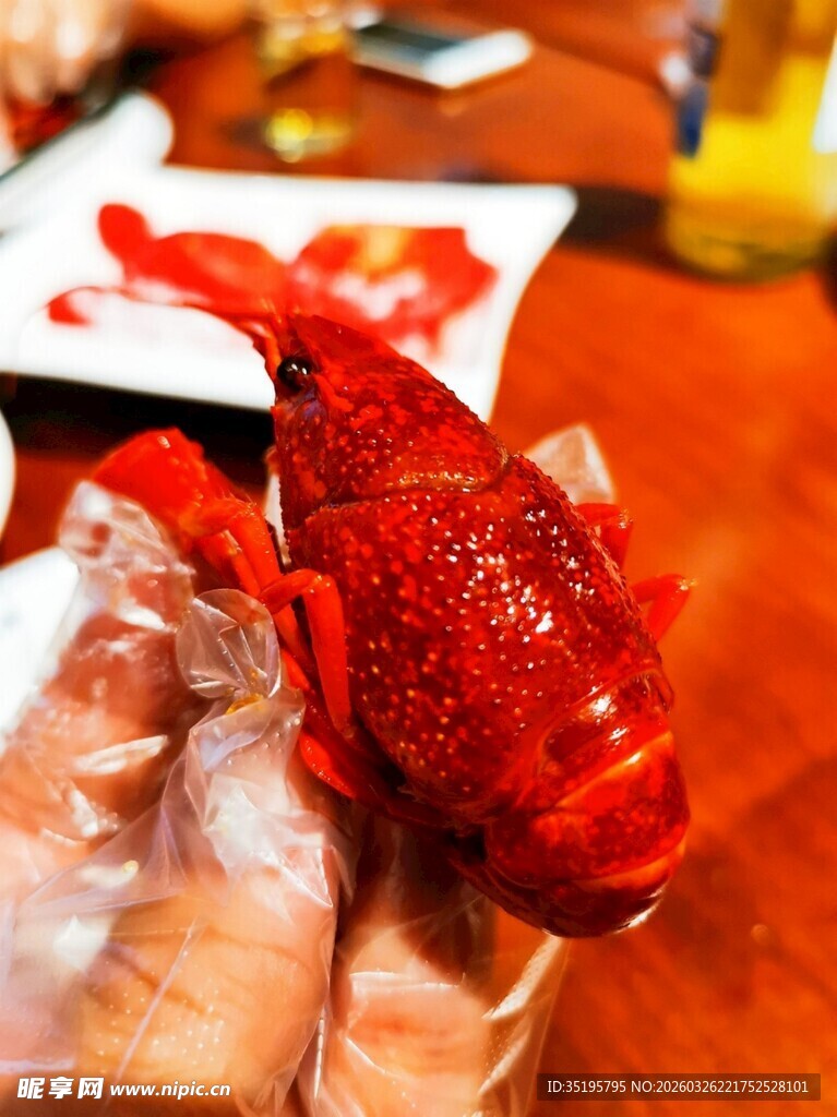 手捧鲜红小龙虾特写