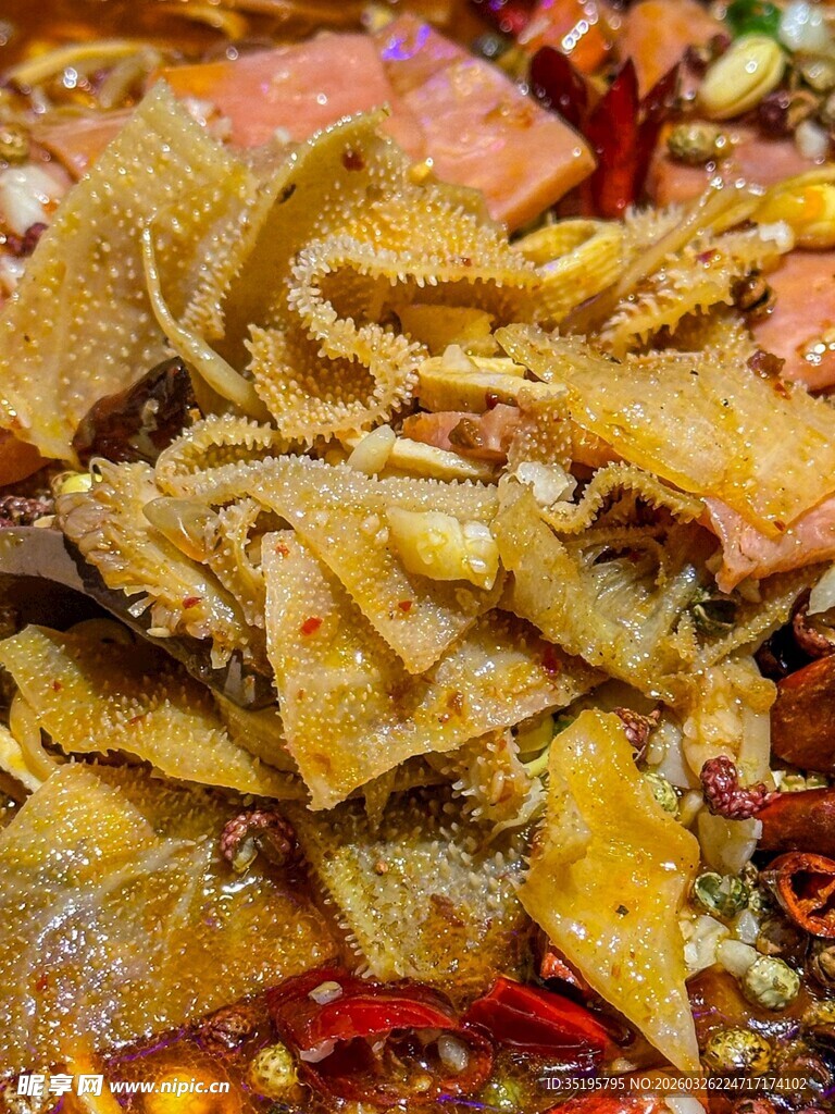 美味毛肚火锅食材特写