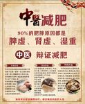 中医辩证减肥宣传海报