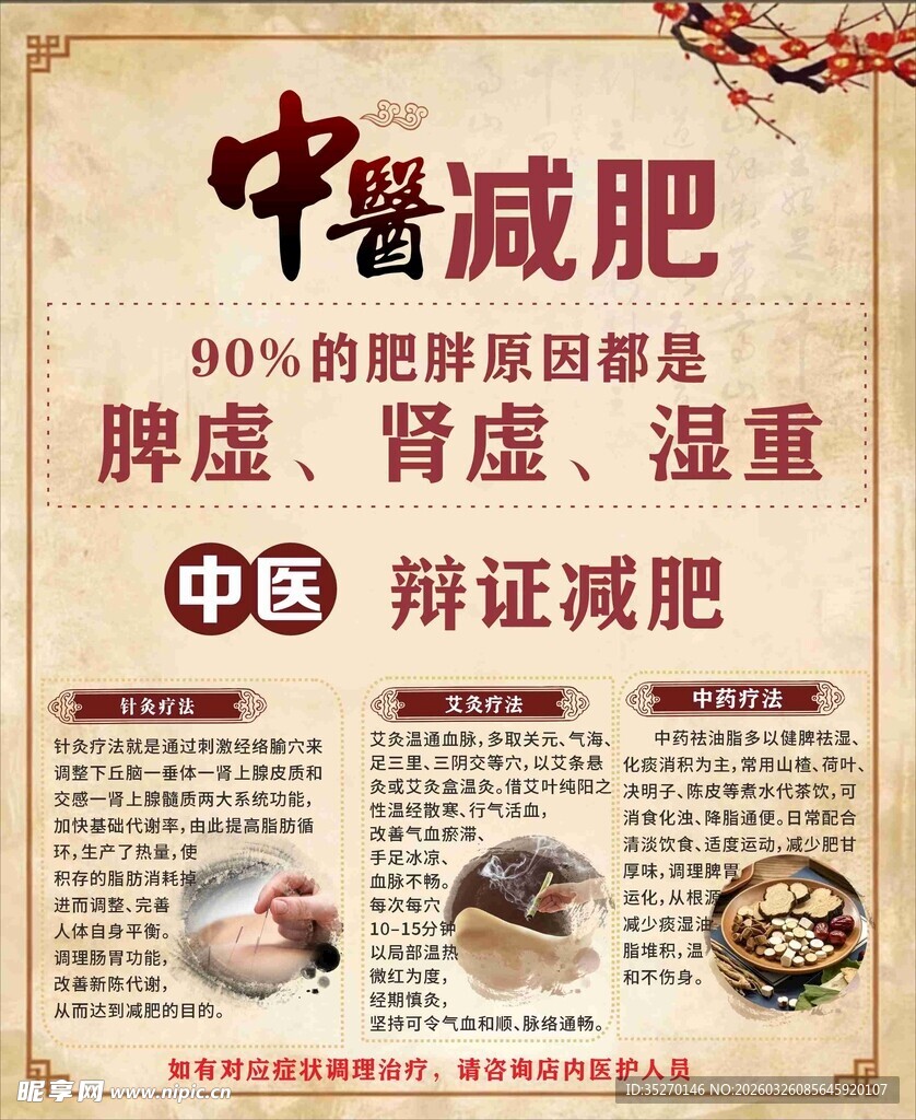 中医辩证减肥宣传海报