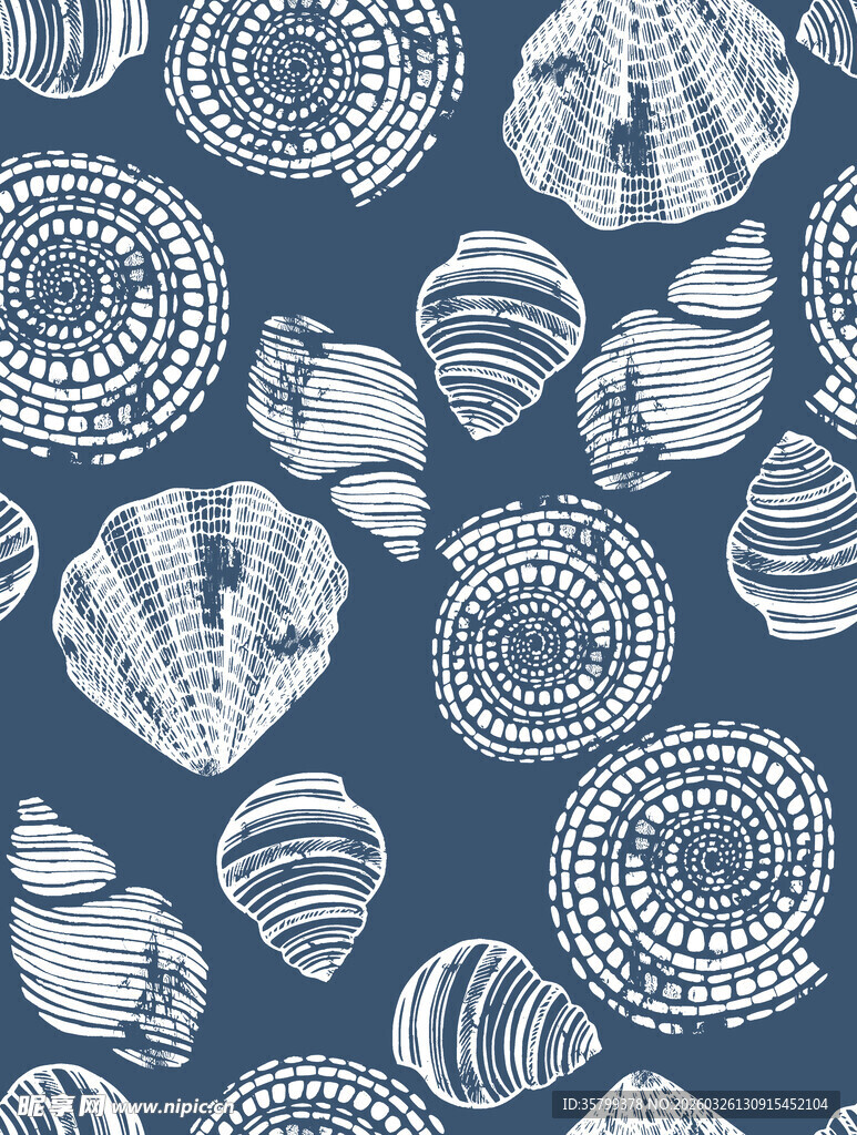 海洋贝壳图案纹理背景