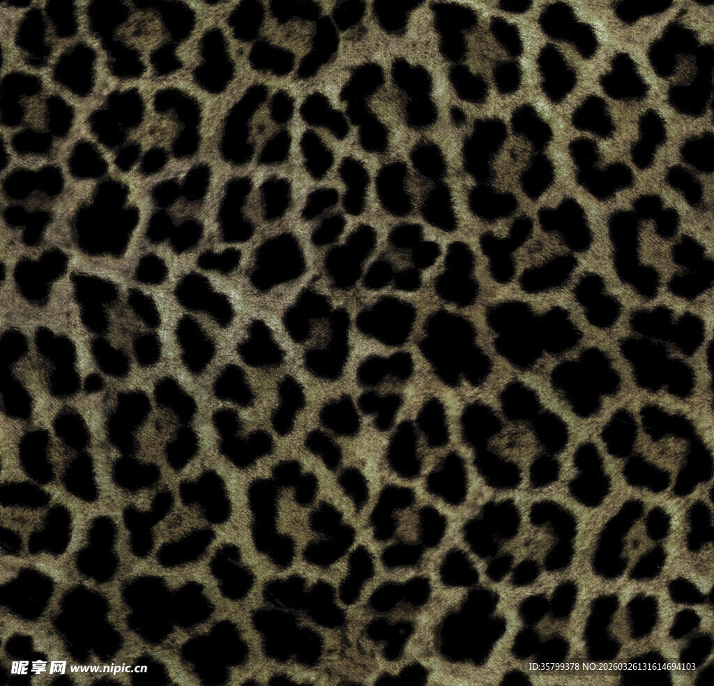 豹纹图案纹理背景