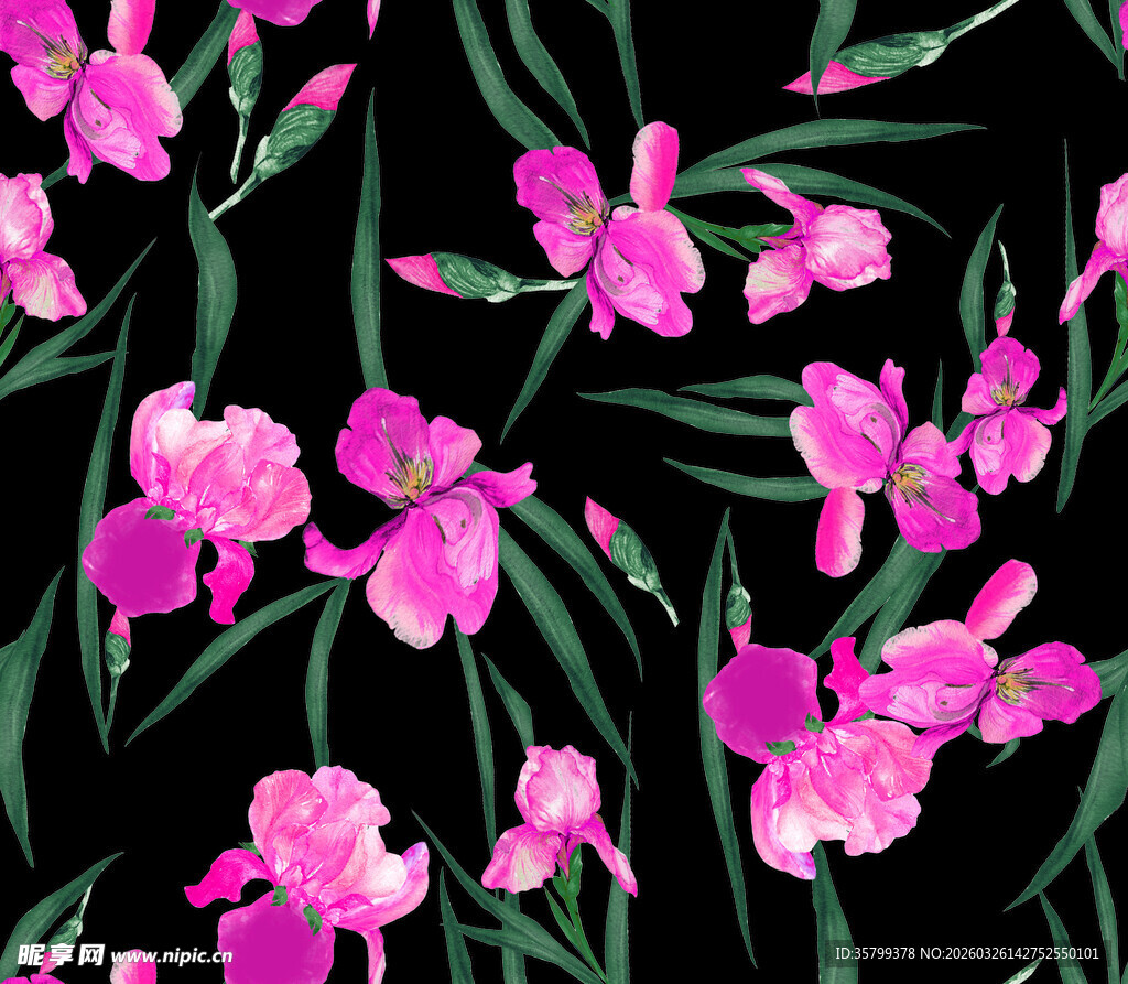 粉色兰花花卉图案背景