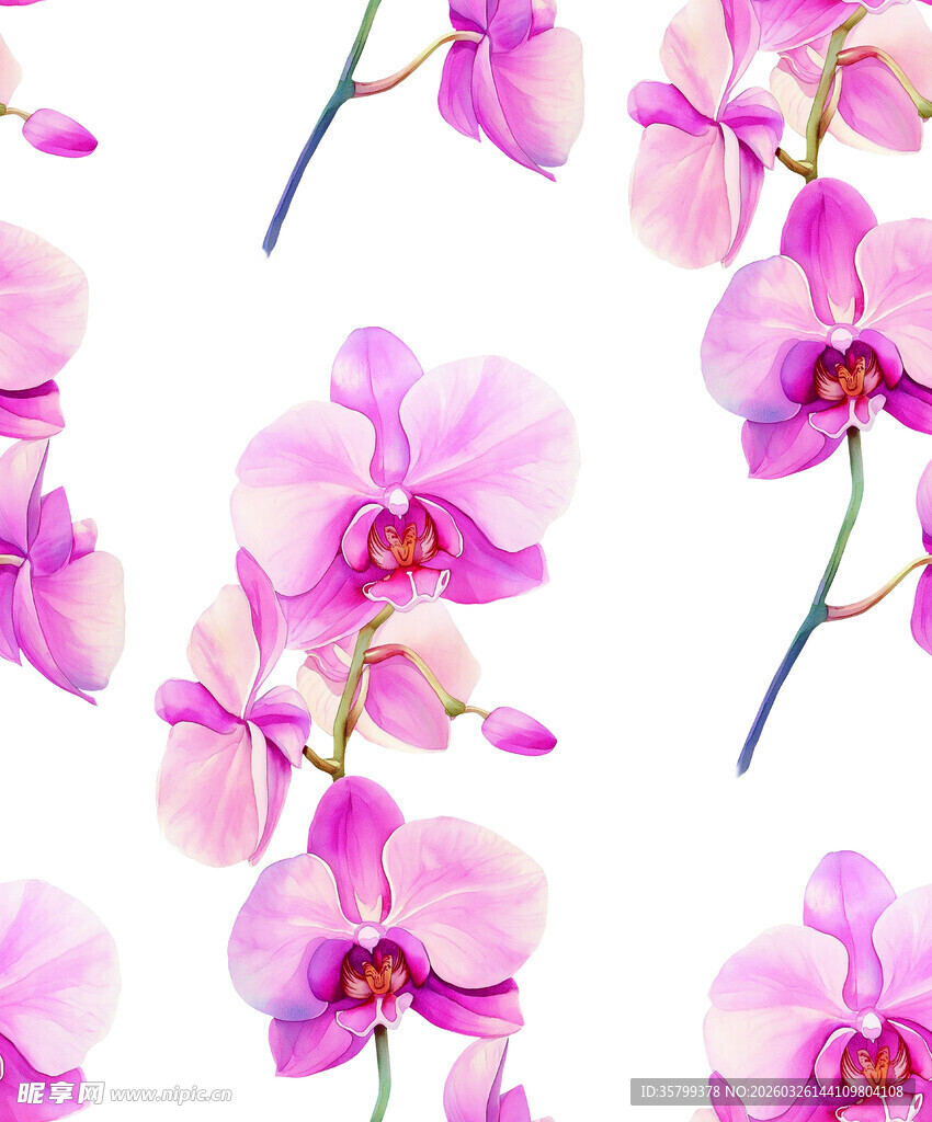 粉色兰花无缝图案背景