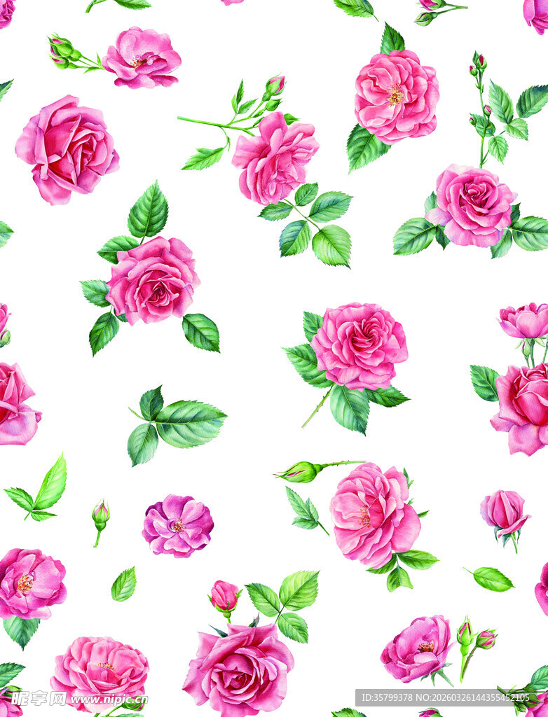 粉色花卉图案无缝背景