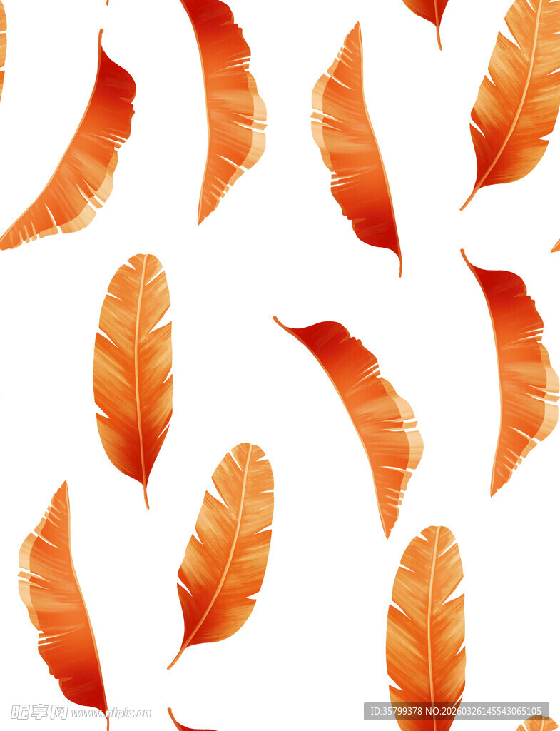 橙色羽毛图案背景设计