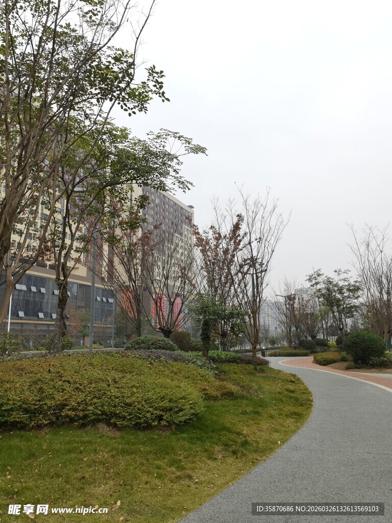 城市林荫小路景观