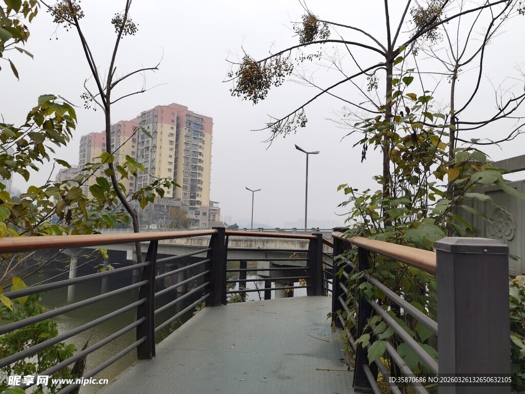 城市中宁静的户外木质步道