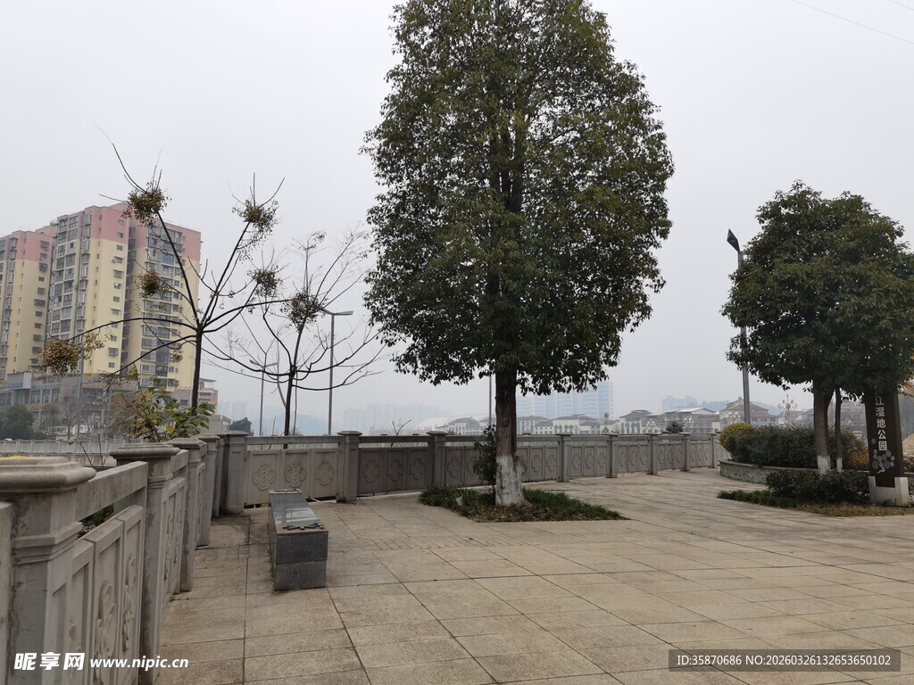 户外空旷场地与树木景观