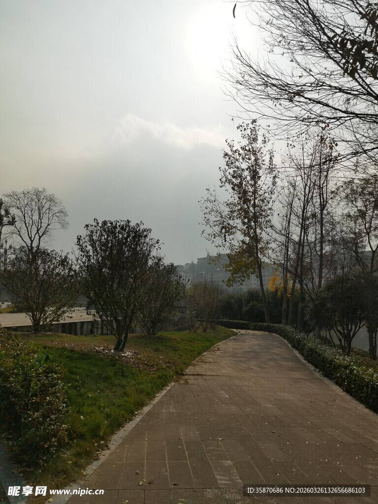 宁静的户外林间小道