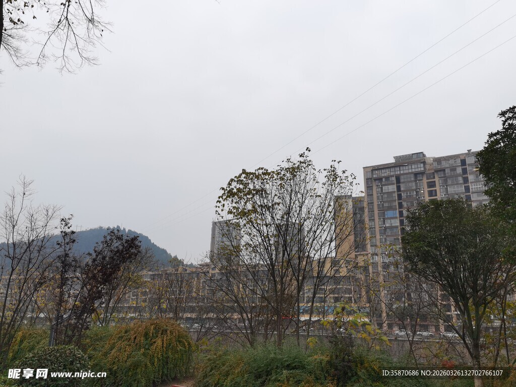 城市远景中的建筑与植被