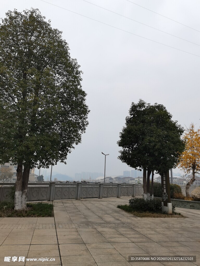 户外空旷的树木与广场