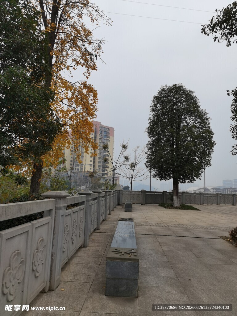 秋日湖边静谧小道