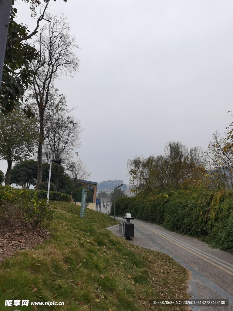 蜿蜒小路旁的绿植景观