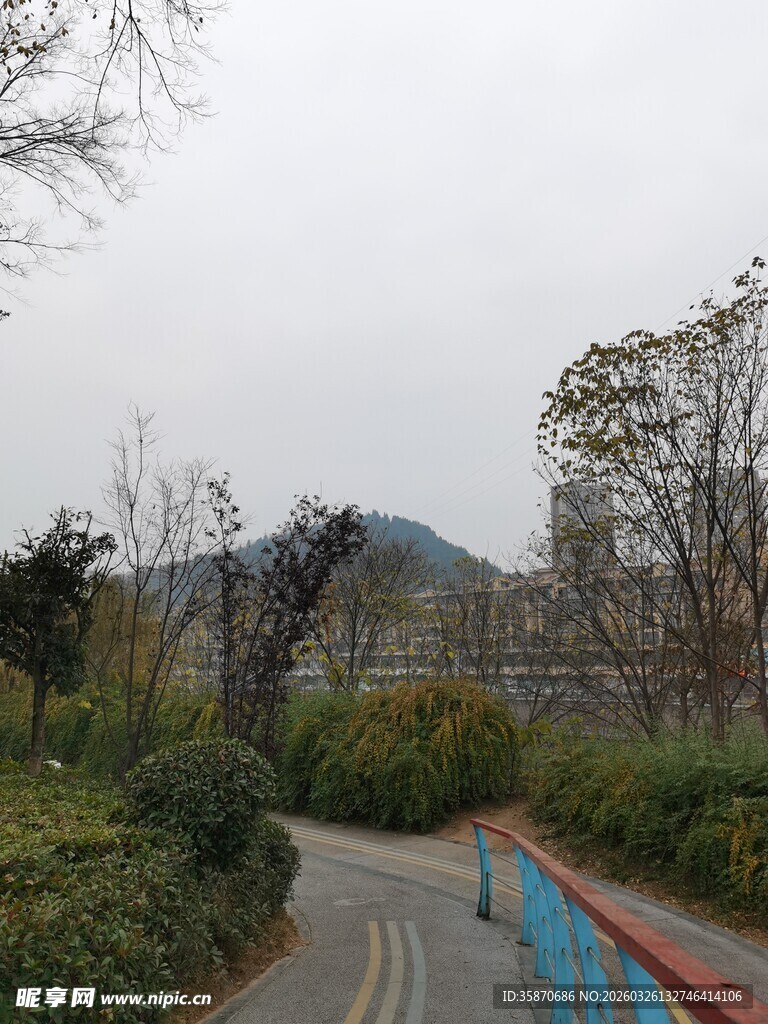 蜿蜒小路旁绿植环绕