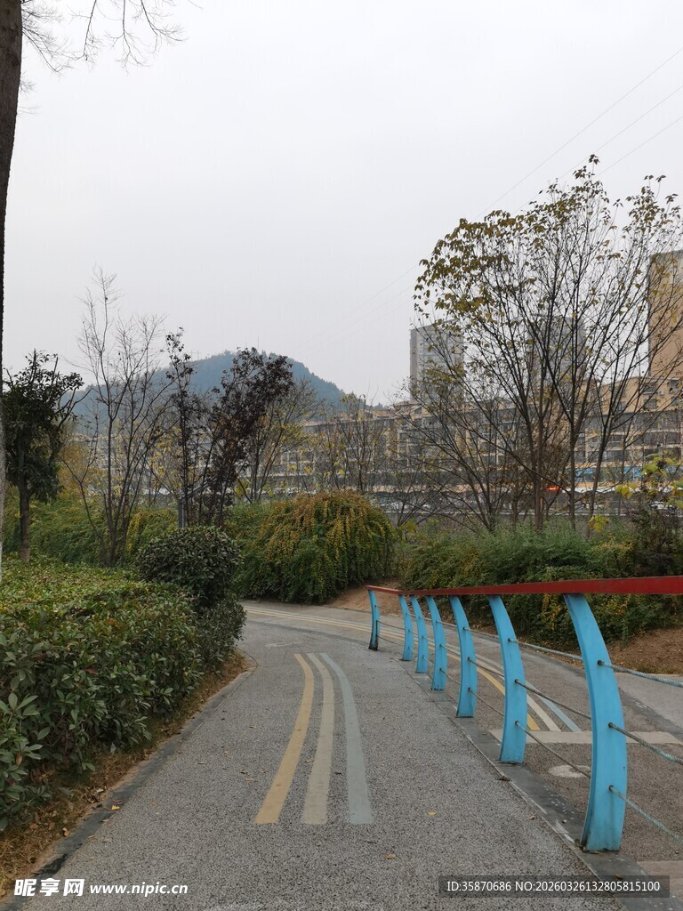 城市中铺设蓝桩的林荫小道