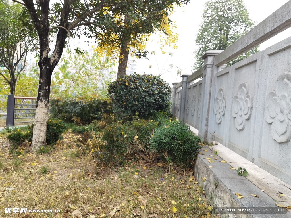 园林景观墙边绿植景致