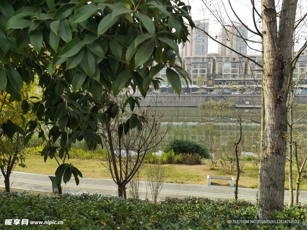 城市中的静谧绿植景观