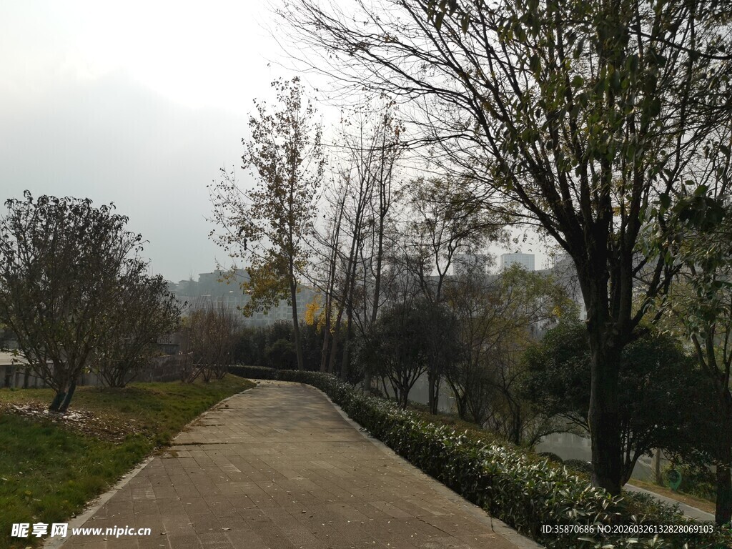 冬日幽静小路旁树木景致