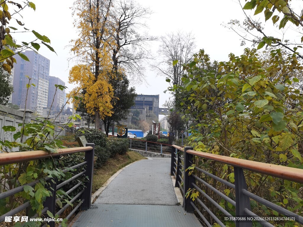 秋日林间漫步小道