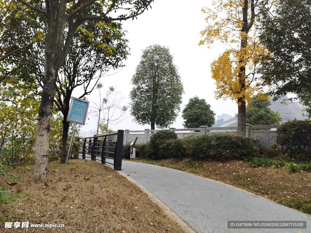 秋日林间漫步小道