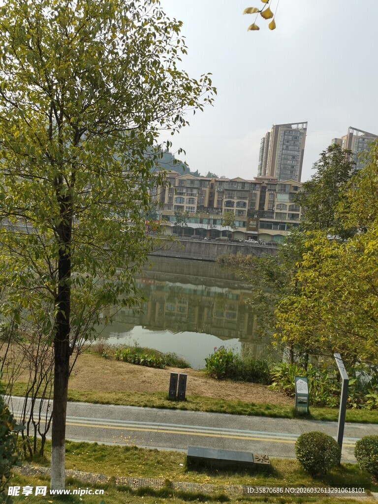 城市公园中的绿树与建筑