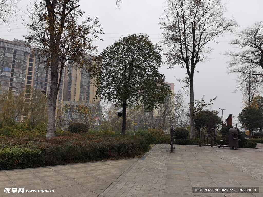 城市公园的宁静户外景致