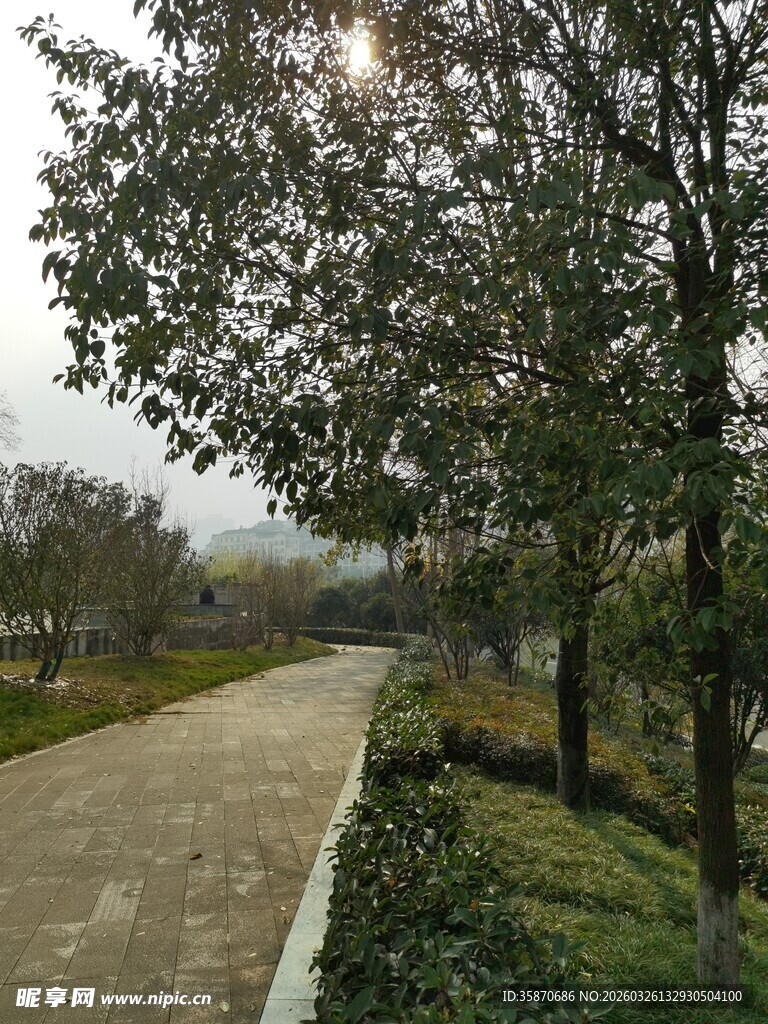 林间小道自然风光美景