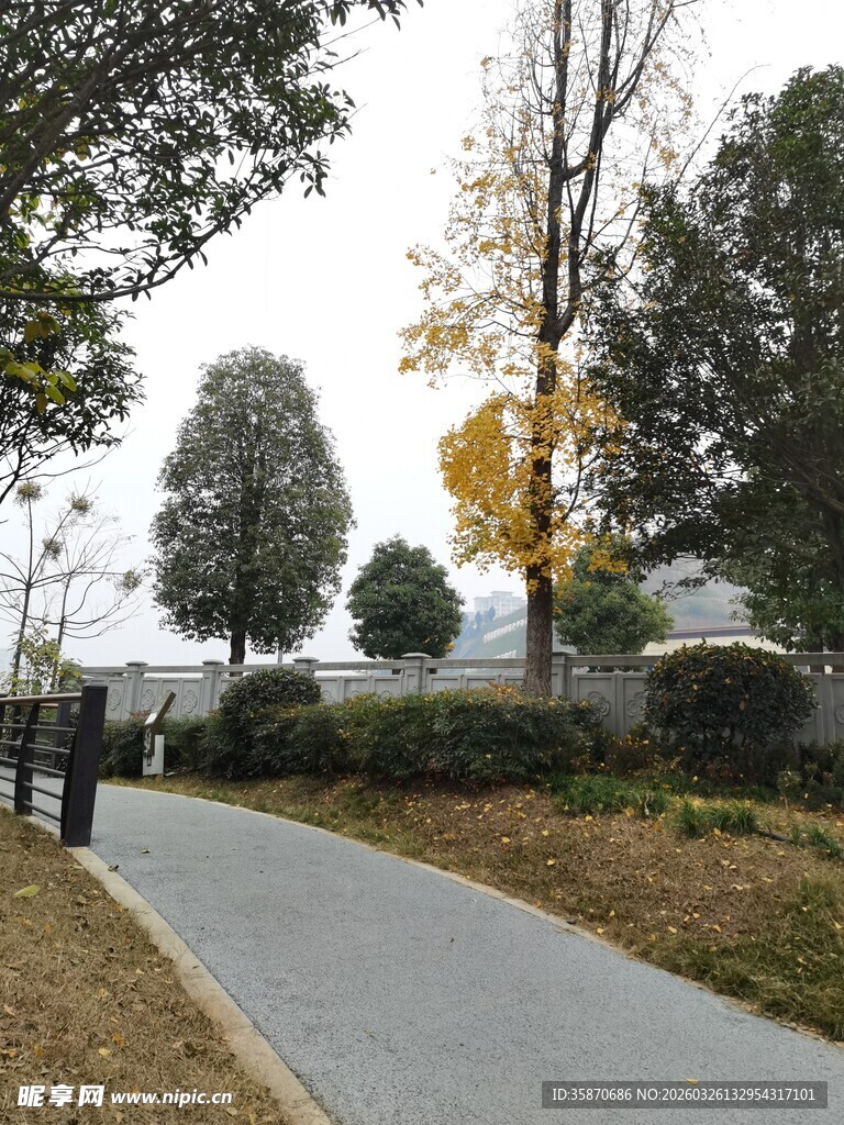 秋日静谧的林间小道