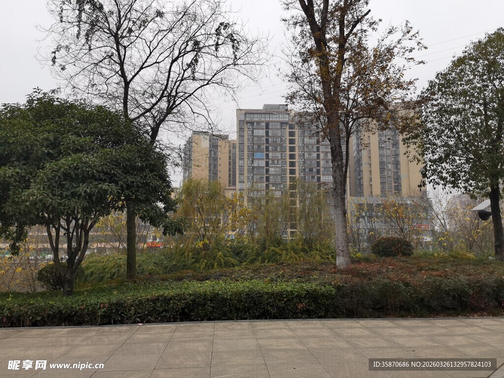 城市公园旁的高楼景观