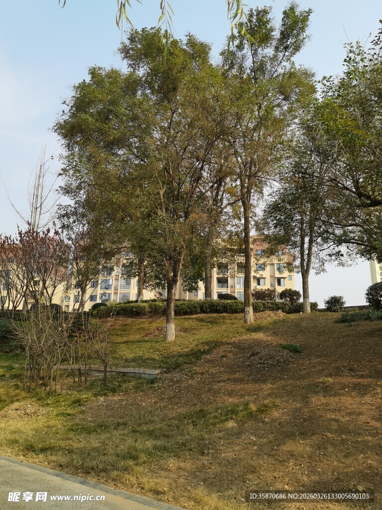 户外树林旁的建筑景观