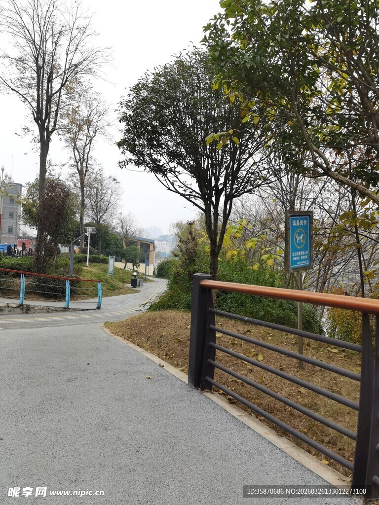 城市公园中的宁静步道