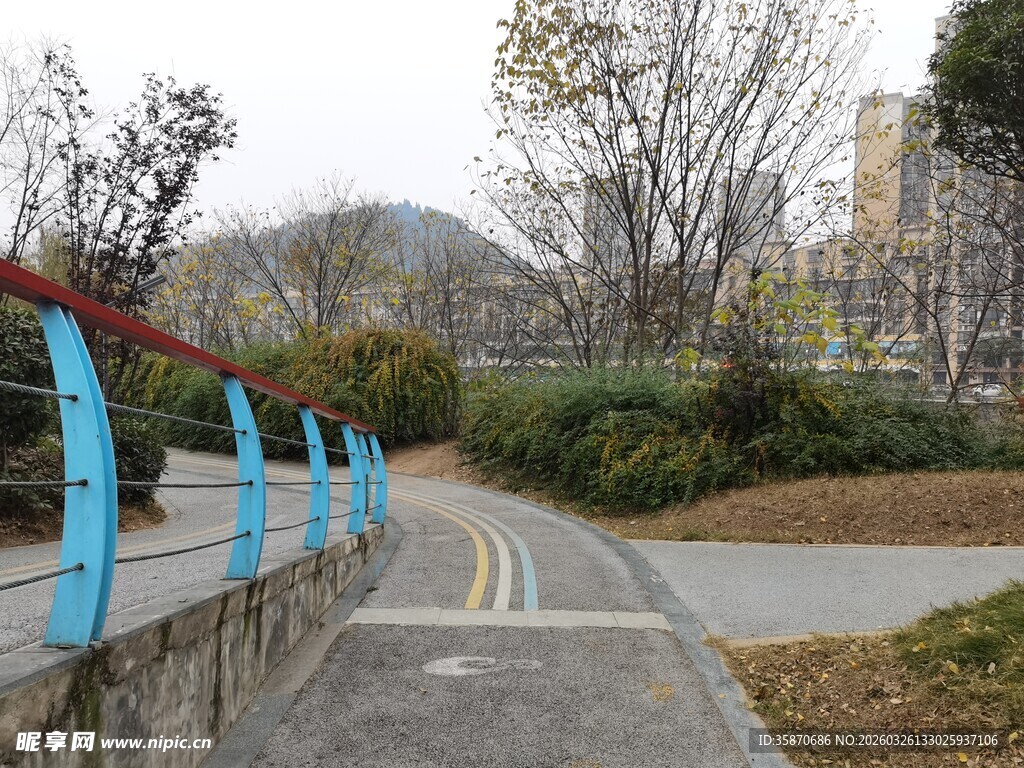 城市中的宁静骑行步道