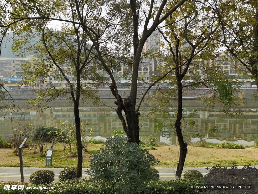 湖畔树木环绕的静谧景致